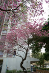 DSC09314