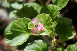 DSC00015