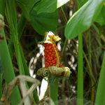 DSC00019