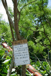 DSC00020