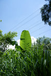 DSC00024