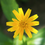 DSC00029