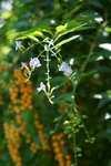 DSC00049