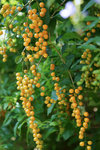 DSC00053