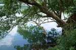 DSC00060