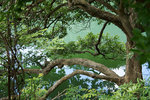 DSC00061