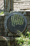 DSC00081