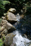 DSC00119