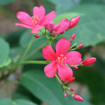 DSC00357