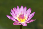 DSC00550