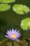 DSC00556