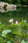 DSC00561
