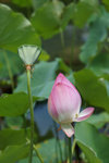 DSC00567