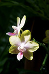 DSC00590