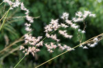 DSC00833