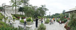 DSC01324