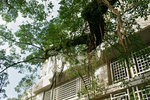 DSC01406