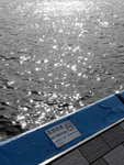 IMG_6807