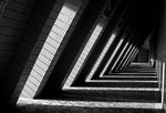IMG_6813