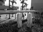 IMG_6816