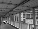 IMG_6950