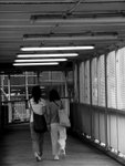 IMG_6951