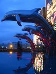 IMG_2239