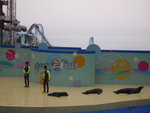Ocean Park(HK)_080407 009