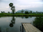 P1170252