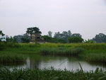 P1170254