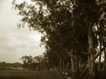 P1170257