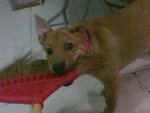 Image(01)(1)