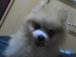Pic0102005