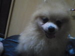 Pic0102006