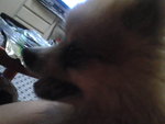 Pic0102007