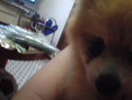 Pic0102008