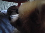 Pic0102009