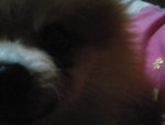 Pic0102010
