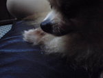Pic0102011