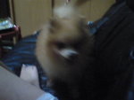 Pic0102012