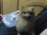 Pic0102014
