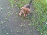 Pic0102020