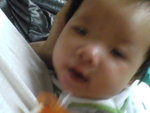 Pic0818012