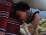 Pic0819023
