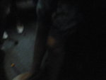 Pic0822012