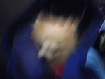 Pic0906009