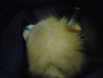 Pic0906015