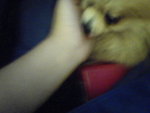 Pic0906016