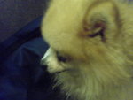 Pic0906019