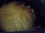 Pic0906022
